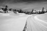 Puy-Saint-Vincent - Domaine nordique du Col de la Pousterle - Piste des Têtes