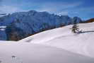 Puy-Saint-Vincent - Piste des Crêtes - Crête de Dormillouse
