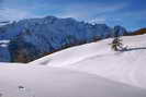 Puy-Saint-Vincent - Piste des Crtes - Crte de Dormillouse