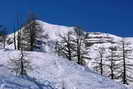 Puy-Saint-Vincent - Piste du Bois des Coqs - L'Aiglire (3308 m) 