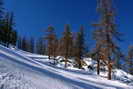 Puy-Saint-Vincent - Piste du Bois des Coqs 