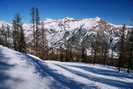 Puy-Saint-Vincent - Piste du Bois des Coqs 