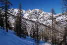 Puy-Saint-Vincent - Piste du Bois des Coqs 