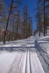 Ski de fond en Vallouise - Puy-Saint-Vincent - Piste des Têtes