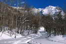 Ski de fond en Vallouise - Piste du Villard