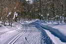 Ski de fond en Vallouise - Boucle de l'Onde