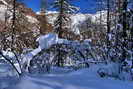 Ski de fond en Vallouise - Boucle de l'Onde