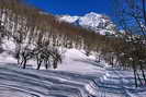 Ski de fond en Vallouise - Boucle de l'Onde