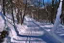 Ski de fond en Vallouise - Boucle de l'Onde