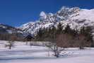 Ski de fond en Vallouise - Les Escharras