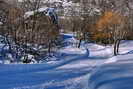 Ski de fond en Vallouise - Les Escharras