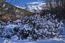 Ski de fond en Vallouise - Les Escharras