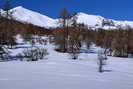 Ski de fond en Vallouise - Puy-Saint-Vincent - Tournoux - Piste du Lauzet