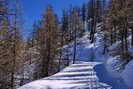 Ski de fond en Vallouise - Puy-Saint-Vincent - Piste des Têtes