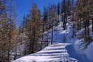 Ski de fond en Vallouise - Puy-Saint-Vincent - Piste des Ttes