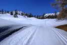 Ski de fond en Vallouise - Puy-Saint-Vincent - Piste des Ttes