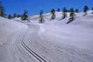 Ski de fond en Vallouise - Puy-Saint-Vincent - Piste des Ttes