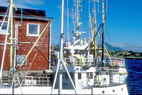 Ballstad - Port de pêche et rorbu