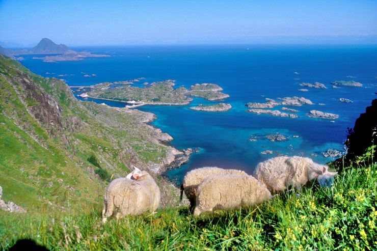 Ballstad - Vestfjord - lots de Torlan et Svinya