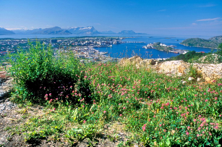 Bod - Le port, vue gnrale