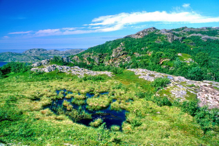 Bod - Landegode - Rypdalstinden (802 m) - Tourbire, au premier plan