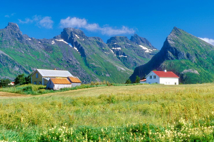 Fredvang - Zone agricole - au fond, Stjerntinden (934 m)