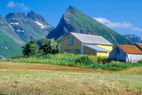 Fredvang - Zone agricole - au fond, Stjerntinden (934 m)