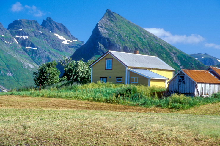 Fredvang - Zone agricole - au fond, Stjerntinden (934 m)