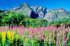 Nusfjord - Cirque Skjdalen - Stjerntinden (934 m)