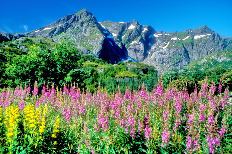 Nusfjord - Cirque Skjdalen - Stjerntinden (934 m)