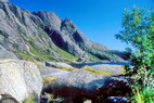 Nusfjord - Nesheia (425 m)