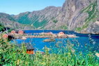 Nusfjord - Le port et les rorbu