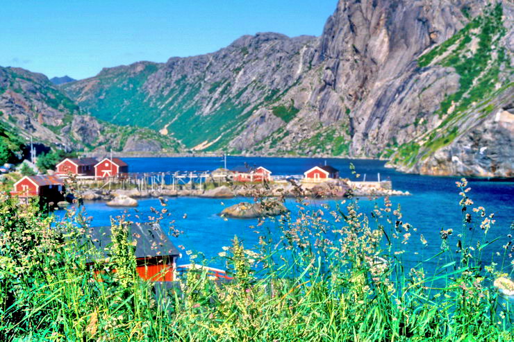Nusfjord - Le port et les rorbu