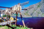 Nusfjord - Schoirs  morues - Stockfish ou strrfisk