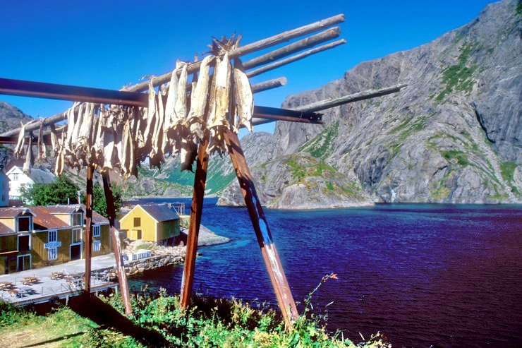 Nusfjord - Schoirs  morues - Stockfish ou strrfisk