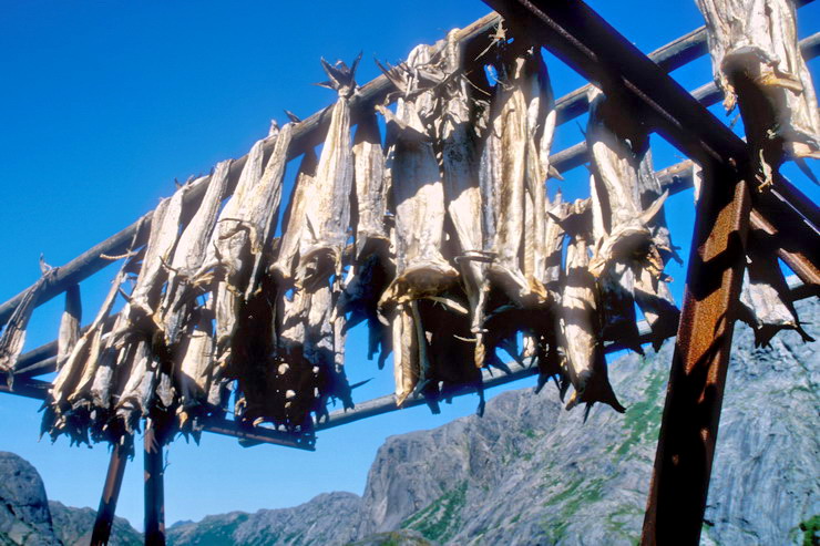 Nusfjord - Schoirs  morues - Stockfish ou strrfisk