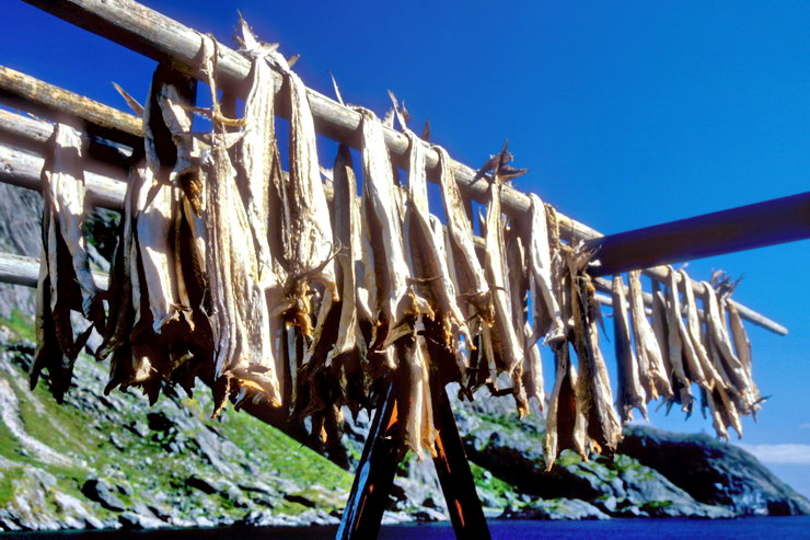 Nusfjord - Schoirs  morues - Stockfish ou strrfisk
