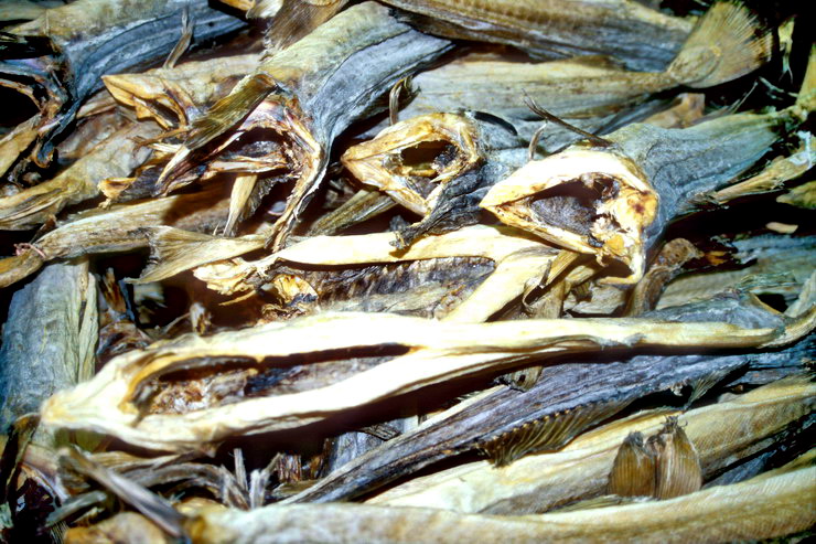 Nusfjord - Morue sche - Stockfish ou strrfisk