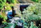 Nusfjord - Ruine de moulin