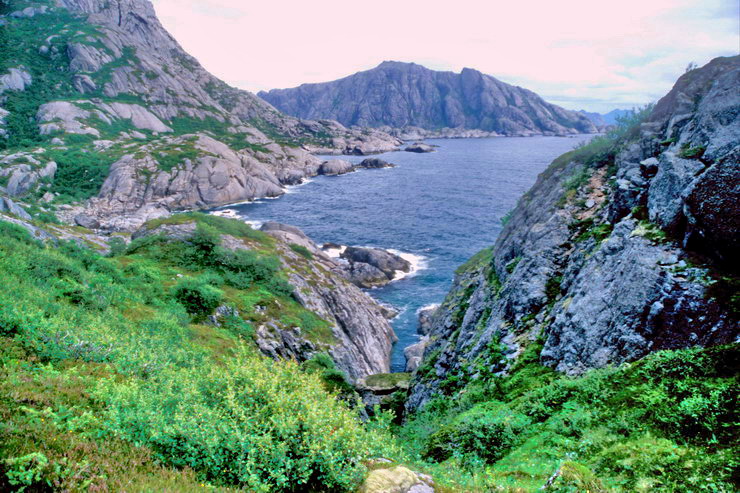 Nusfjord - Nesland - Vedvika