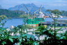 Bod - Le port
