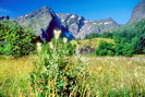 Flakstad - Stjerntinden (934 m) au-dessus de Nusfjord