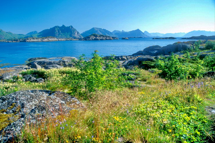 Stamsund - La cte vers le nord - Hellvika