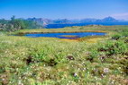 Stamsund - Skifjorden - Débouché du Henningsværerstraumen - Au fond, le Vågakallen (943 m) sur l'île d'Austvågøy