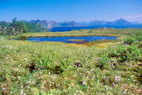 Stamsund - Skifjorden - Dbouch du Henningsvrerstraumen - Au fond, le Vgakallen (943 m) sur l'le d'Austvgy