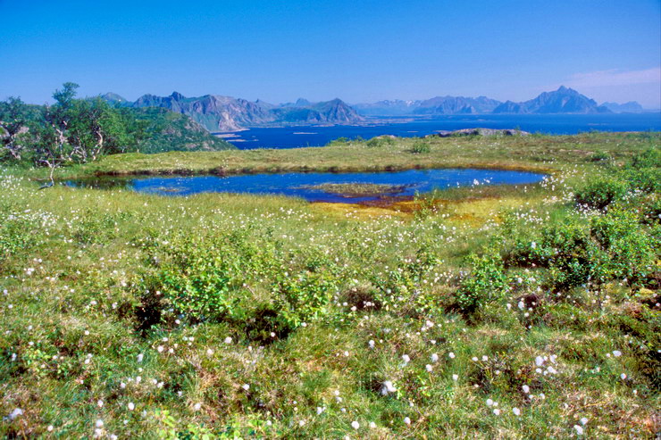 Stamsund - Skifjorden - Dbouch du Henningsvrerstraumen - Au fond, le Vgakallen (943 m) sur l'le d'Austvgy