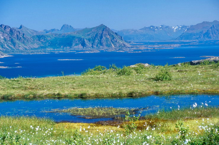 Stamsund - Skifjorden - Dbouch du Henningsvrerstraumen - Au fond, l'le d'Austvgy