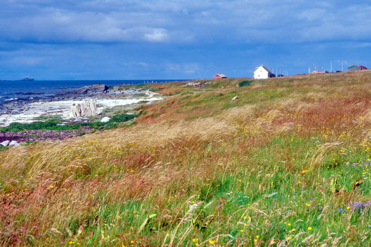 Vry - Nordlandshagen - Nordland - Grindgrden