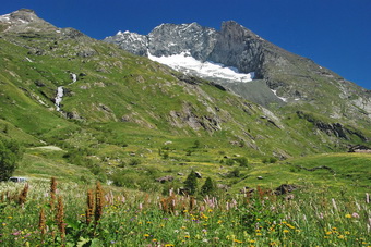 Haute Maurienne - La Bessanese ou Bessanse (3592 m)