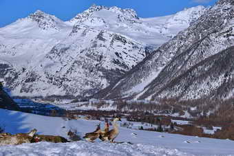 Haute Maurienne - Plaine de Bessans